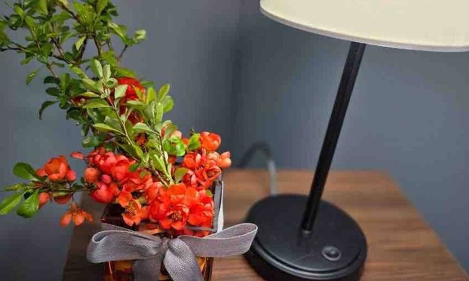 Fourmile Cabaña | The House on Park Avenue-minutes to music venues Laurel Cove and Bell Theater!