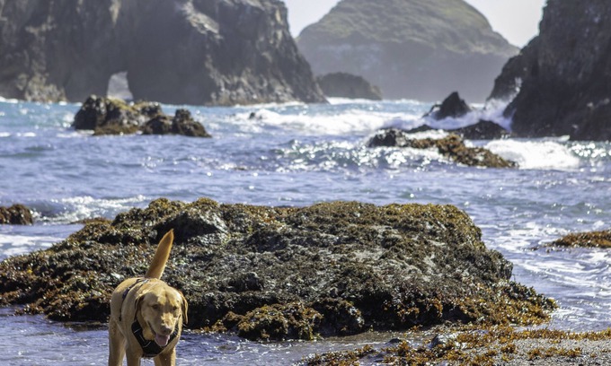 Little River Hotel | The Inn at Schoolhouse Creek