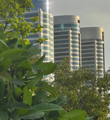 F-7 Sector Casa | The Life Style opp Canturus Mall