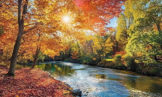 Dorset Casa | The Lower Hollow House, dip into river in backyard