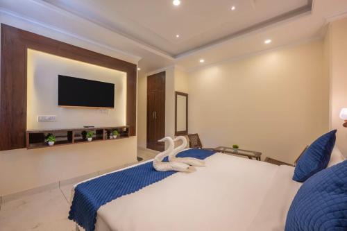 Dal Lake Hotel | THE NEST INN