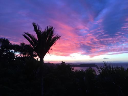 Waiheke Island Apartamento | The Nikau Loft