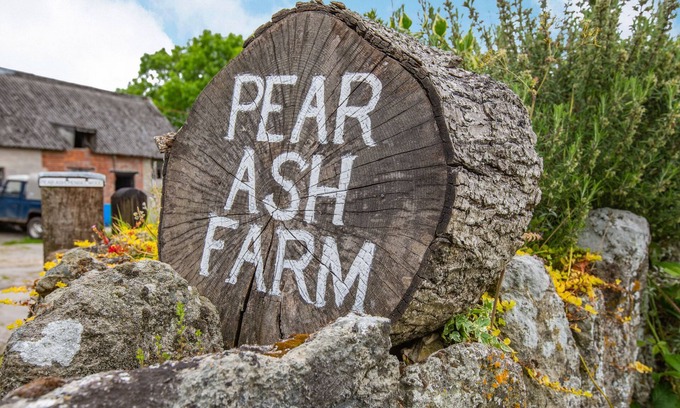 Penselwood Cabaña | The Old Bull Stall
