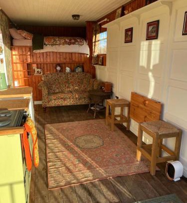 Enniskillen Otro | The Skewbald