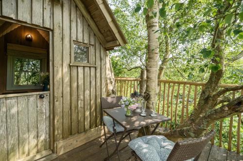 Kingsbridge Casa | The Treehouse at Salcombe Farm