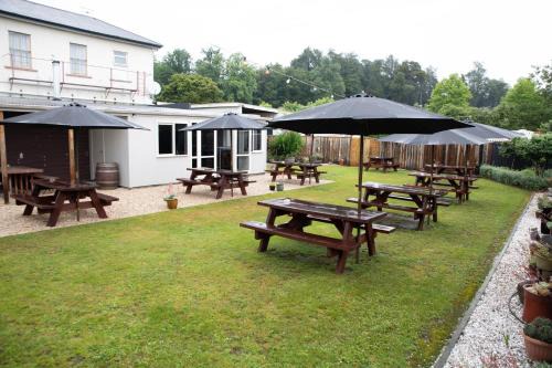 Wakefield Hotel | The Wakefield Bar and Restaurant Ltd