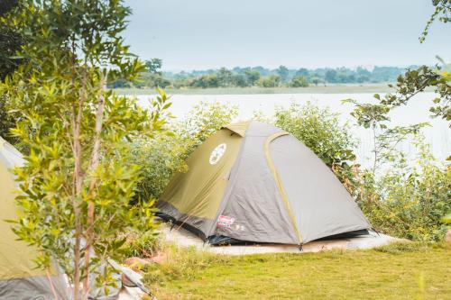 Vikarabad Hotel | The Wilderness Campsite