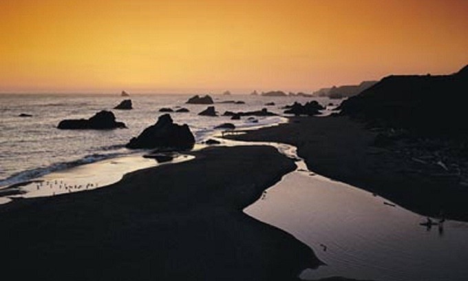 Agate Beach Complejo | Piscinas de marea, amplias playas de arena, avistamiento de ballenas!