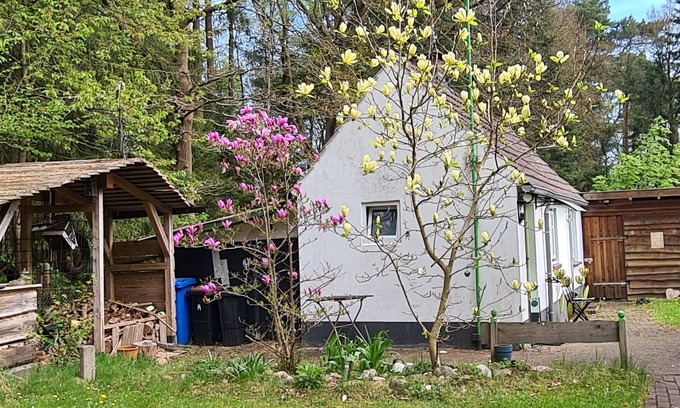 Am Dobrock Casa | Tiny house in the Wingster Forest, near Nordesse, peace & relaxation in nature