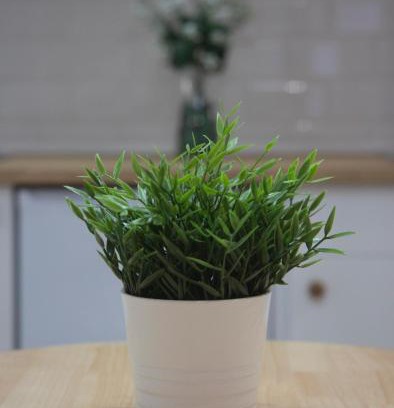 Plasencia Apartamento | Torre de Ambroz