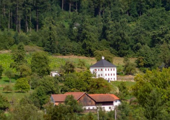 Schlußlberg Casa | Trattnachtaler Weinhaus
