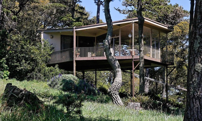 Inverness Apartamento | Casa de cristal superior de árbol - Hola casa