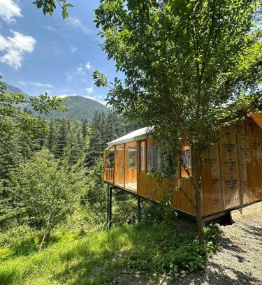 Banjar Chalet De Esquí | TreeHouse by The Woodpecker Inn Jibhi