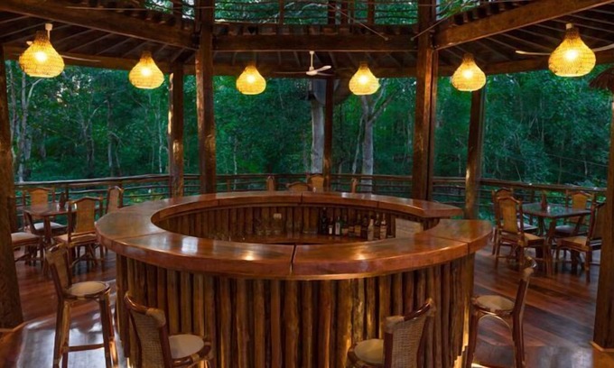 Saquena Cabina | Treehouse Lodge