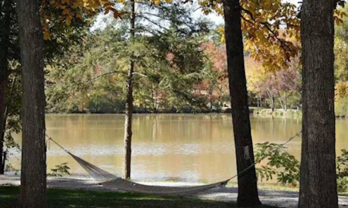 Greensboro Hotel | Treehouse on the Lake