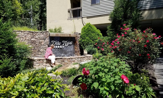 Gatlinburg Complejo | Treetops Resort on Roaring Fork Stream Gatlinburg 2Bd2Ba Condo SATURDAY Check In