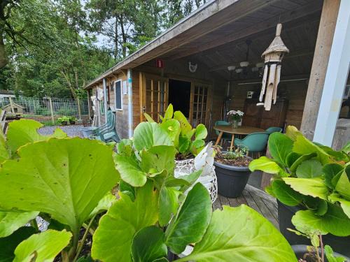 Loon Otro | Trekkershut - De Hollandse Boerderij