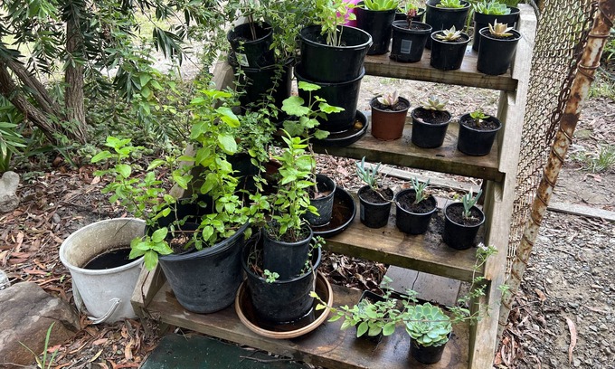 Woori Yallock Cabaña | Tricky's Yarra Valley Cottage