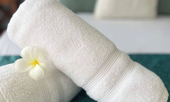 Mata de Platano Apartamento | Tropical Retreat with Spectacular Rooftop Rainforest & Ocean Views With Jacuzzi!