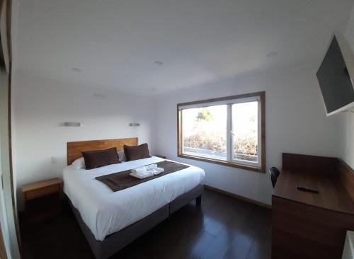 Puerto Natales Apartamento | Trotamundos