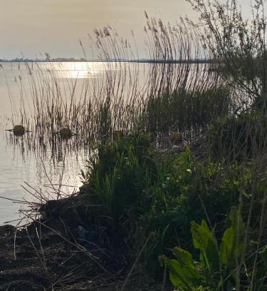 Gaastmeer Apartamento | Tussen de meren