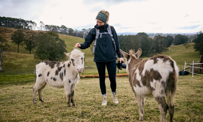 Jenolan Otro | Ultimate farmstay experience - 5 minutes from Jenolan