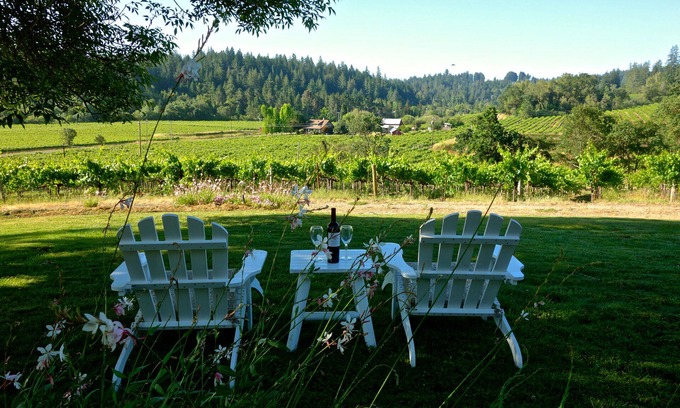 Graton Casa | Vistas insuperables dentro y hacia fuera En esta Vineyard Estate 3-Acre