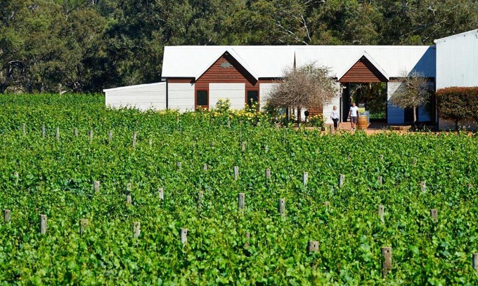 Baskerville Villa | Upper Reach Spa Cottage