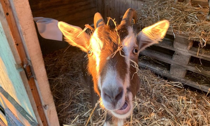 Steinhagen Apartamento | Vacation apartment at Roggenkamp