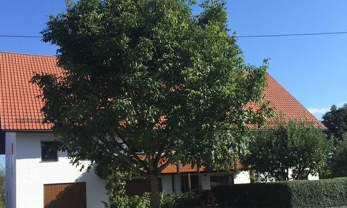 Tannheim Apartamento | Apartamento Andrea - Andrea apartamento