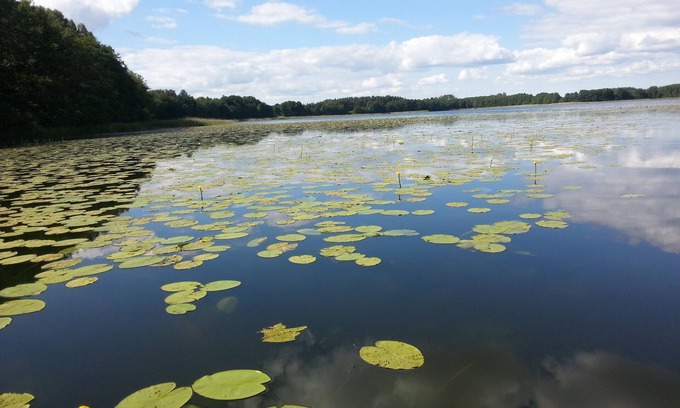 Muritz Apartamento | Vacation apartment - cozy hours, 100 m to the water, peace and pure nature