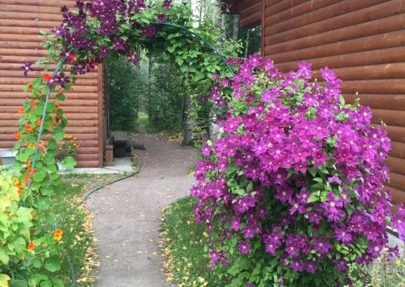 Gostilitsy Casa | Vacation home Banka u Ivana