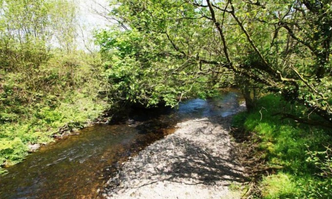 Trecastle Casa | Casa de vacaciones Bwthyn yr Onwydden en Llandovery - 6 personas, 2 dormitorios