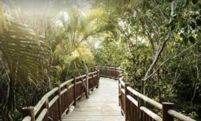 Bucerías Complejo | Vidanta Property Grand Luxxe Master Suite 2 habitaciones, 2 baños