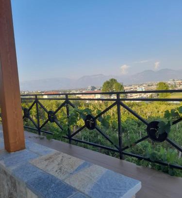 Rade Casa | Vila Shehi Guesthouse and Winery