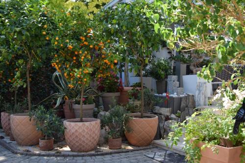 Siofok Apartamento | Villa Éden