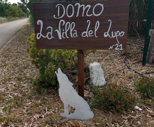 Sassari Casa | Villa del Lupo