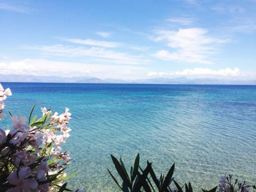 Notos Casa | Villa Diana Beachfront Vacation Home