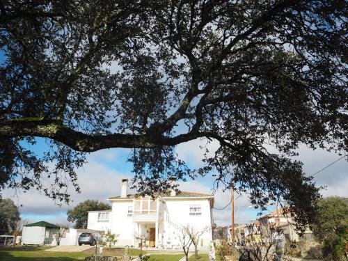 Moralina Casa | Villa Entre Encinas