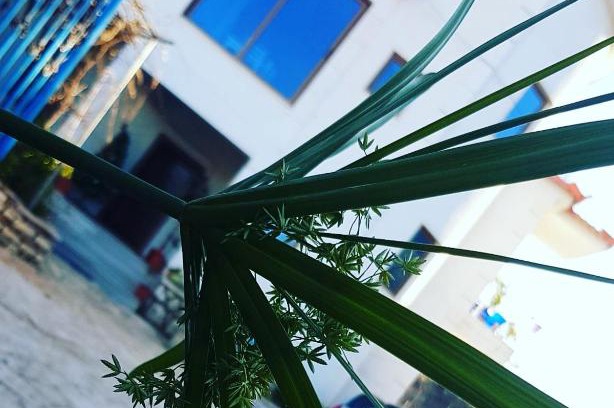 Aliko Hotel | Villa HENA