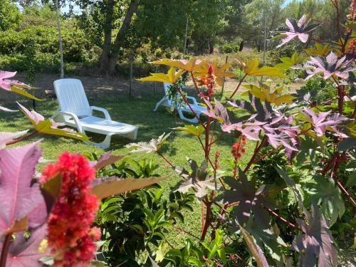 Melendugno Apartamento | Villa Laurus