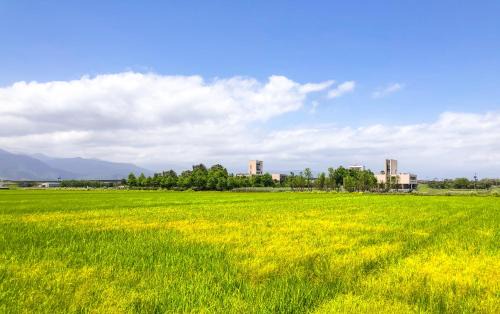 Dongshan Hotel | Villa LOHERB