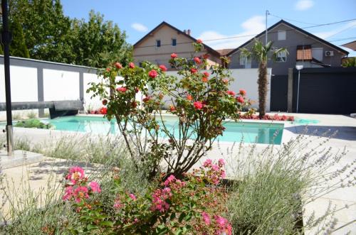 Novi Beograd Villa | Villa Marbella