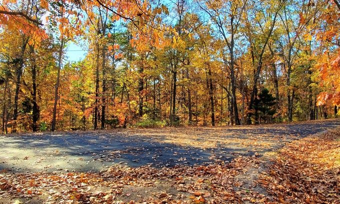 Bella Vista Casa | Vista del Paradiso "View of Paradise" Casa completa