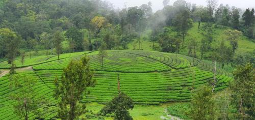 Valparai Casa | VLP home stay