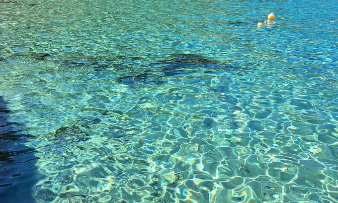 Giglio Porto Apartamento | Vrbo Property