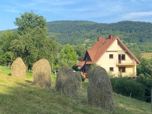 Budzow Apartamento | W górach nad strumieniem