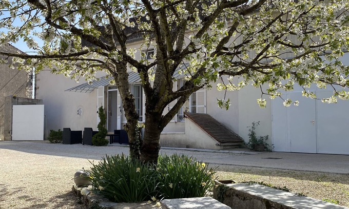 Meursault Casa | White House