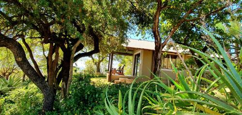 Sidvokodvo Cabina | Wide Horizons Mountain Retreat