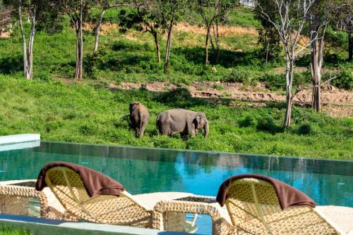 Bophut Hotel | Wild Cottages Elephant Sanctuary Resort